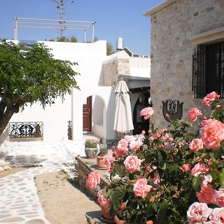 Svoronos Zambujeira do Mar