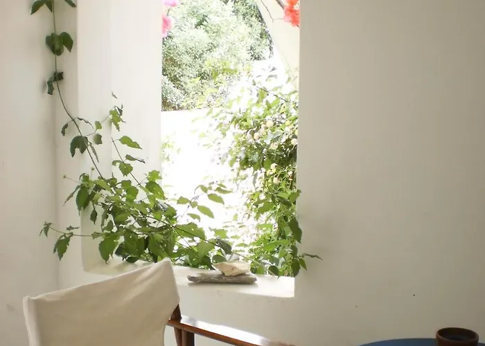 Svoronos 4* ناوسا